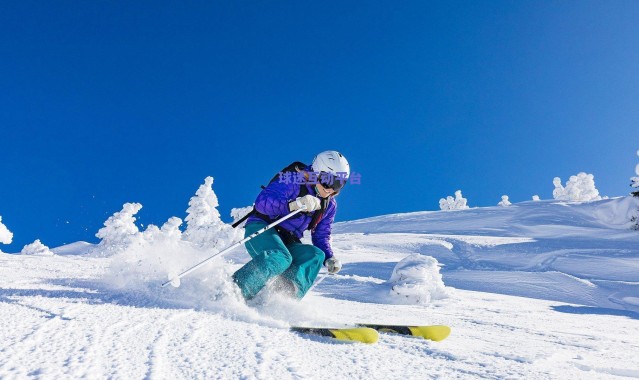古德温盛赞球队韧性，第三节逆转彰显时刻保持侵略性的团队文化