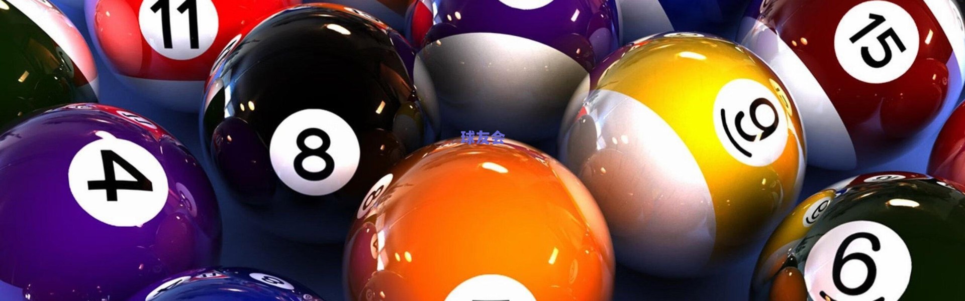 德甲半程风云，专访传奇皮萨罗与铁卫赫韦德斯，盘点赛季五大看点