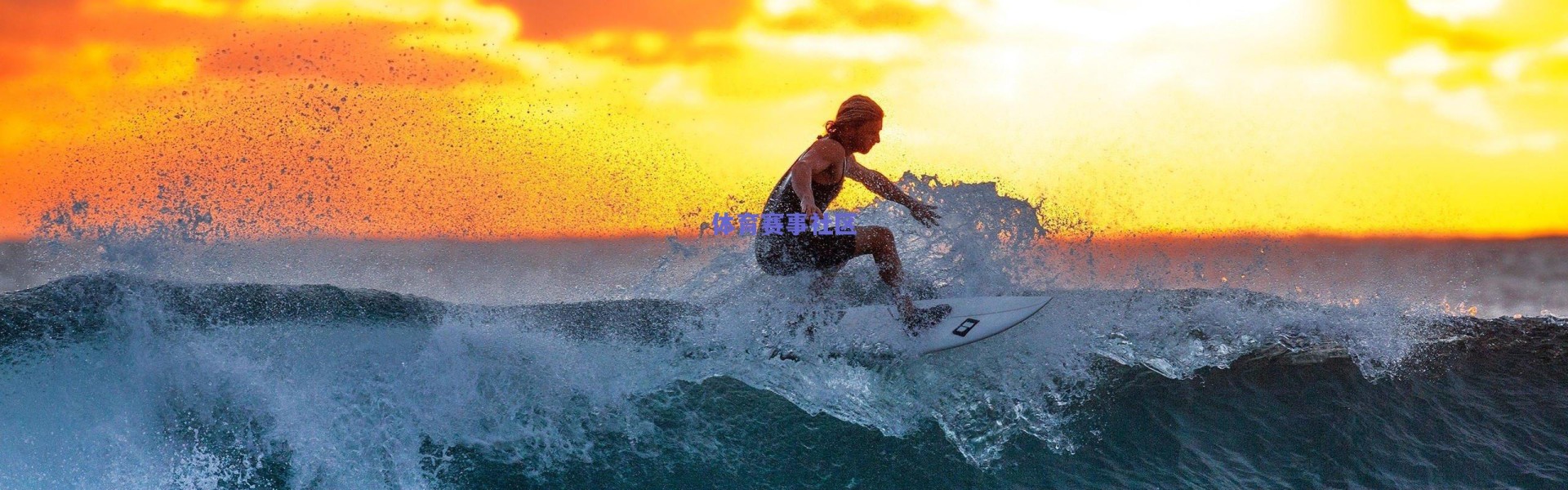 樊振东欧冠赛场展大将风范 赛后欢乐合影彰显团队凝聚力 弗朗西斯卡盛赞欢乐之队