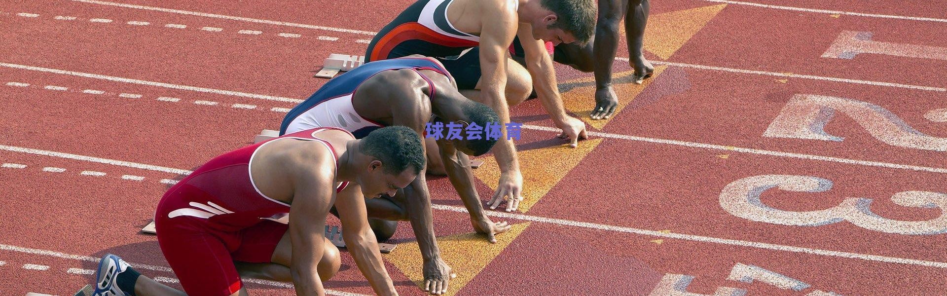 水晶宫瞄准哈努斯,3000万镑交易接近达成,但引援策略仍存变数