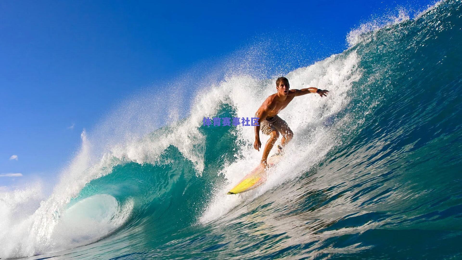 樊振东德甲首秀引爆欧洲乒坛，吴敬平昔日点评成现实注脚，王励勤盛赞其实力与担当